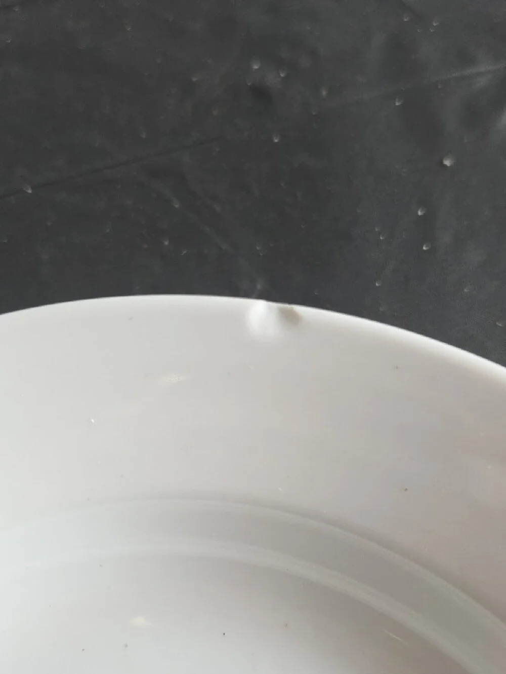 COOKS White Dinner Plates with Black Leaf Motif - Set of 2 CALLOUT-2 Chips